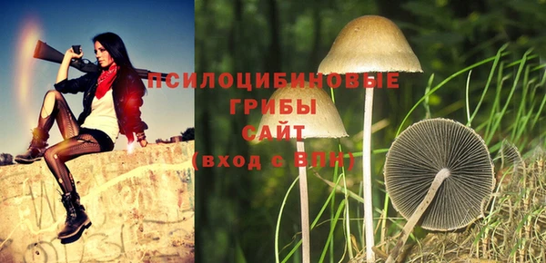 мдпв Горняк