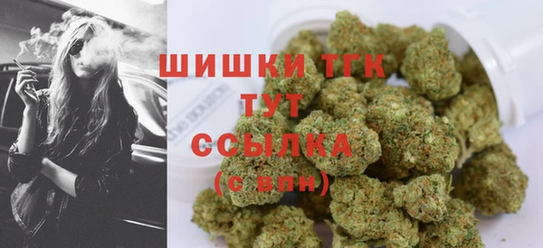 мдпв Горняк