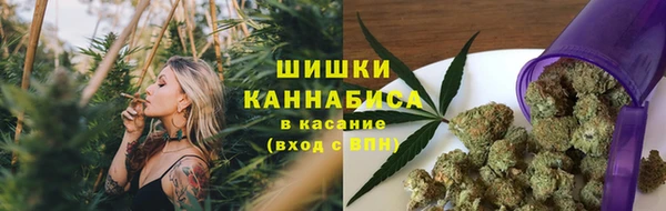 PSILOCYBIN Горнозаводск