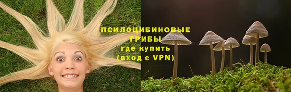 PSILOCYBIN Горнозаводск