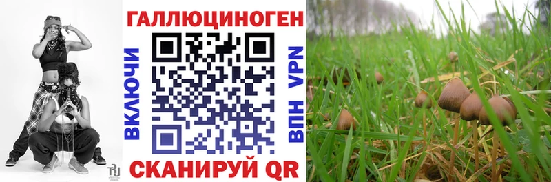 Галлюциногенные грибы Psilocybine cubensis  Купить  Орск 