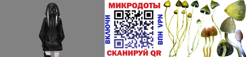 Псилоцибиновые грибы прущие грибы Орск